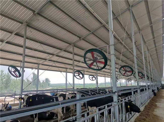 Ss Pe Hanging Ventilation Fan VC 101 Pe 485W Cow Shed Fans