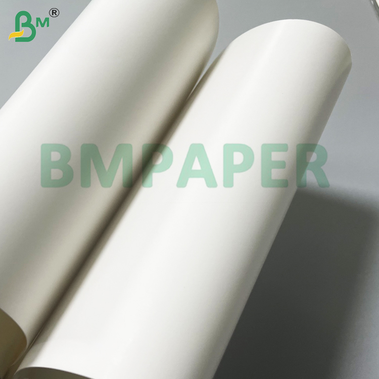 135g 150g White Food Grade Cup Base Paper For Coffee Cup