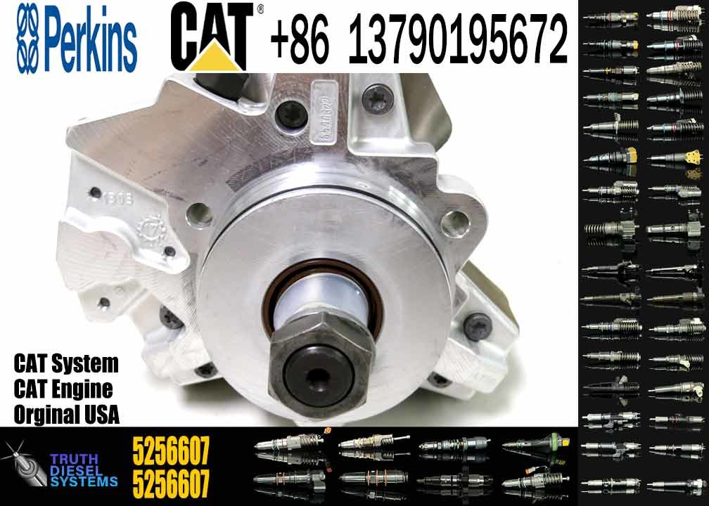 High Pressure Fuel Injection Pump 2643D641 2643D640 2644H032