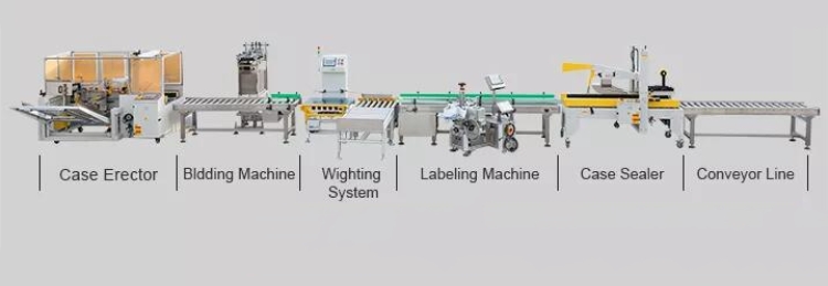 End Of Line Packing Machinery Automatic Carton Unpacking Machine Case Erector