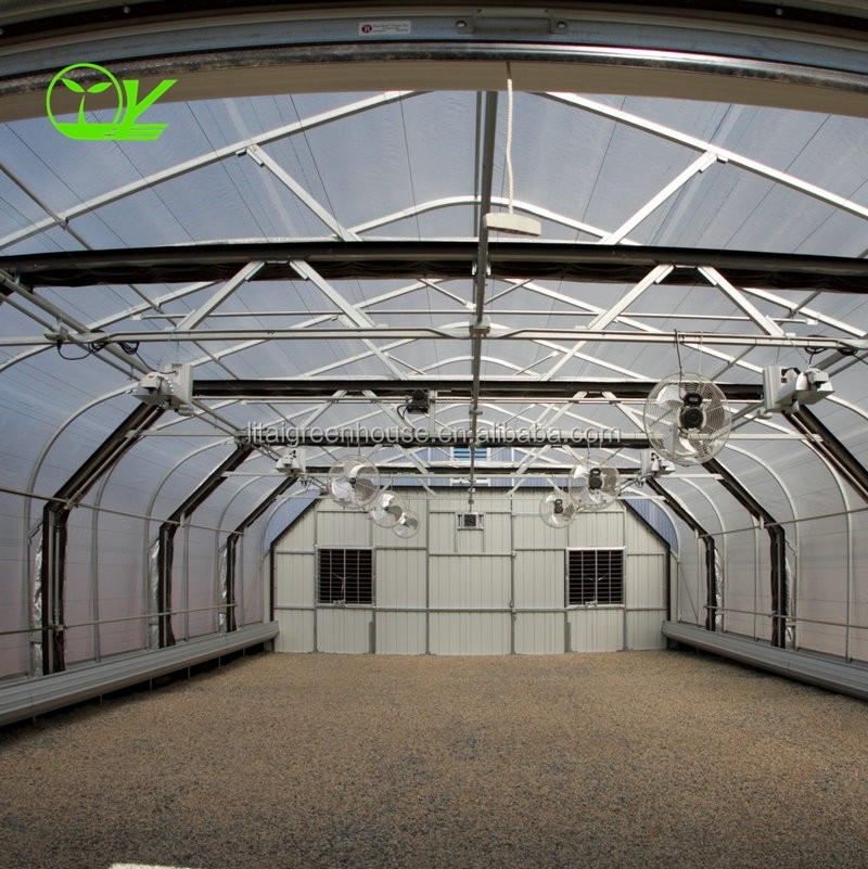 Film Covered Greenhouse for Agriculture in Namibia Affordable and Customizable Height