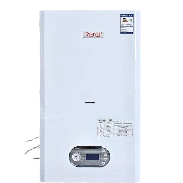Hotel Wall Hung Condensing Boiler Domestic Gas Boiler Restaurant Liquefied