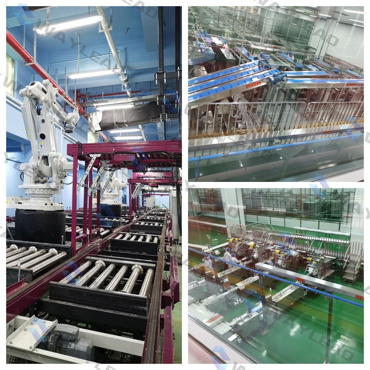 Bakery Bag Automatic Pouch Packaging Machine Stainless Steel Packing Machinery