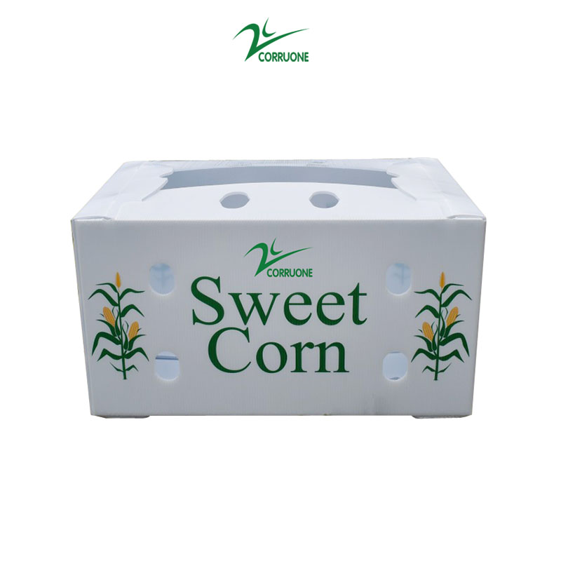Mangosteen PP Corrugated Box Glossy Apple Coroplast Box Customized