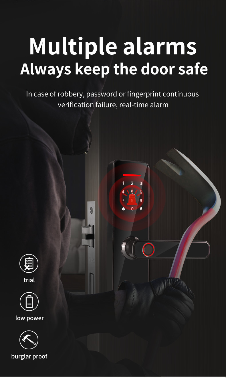 Biometric Fingerprint Wifi Lock Tuya Zigbee TTlock Smart Digital Door lock