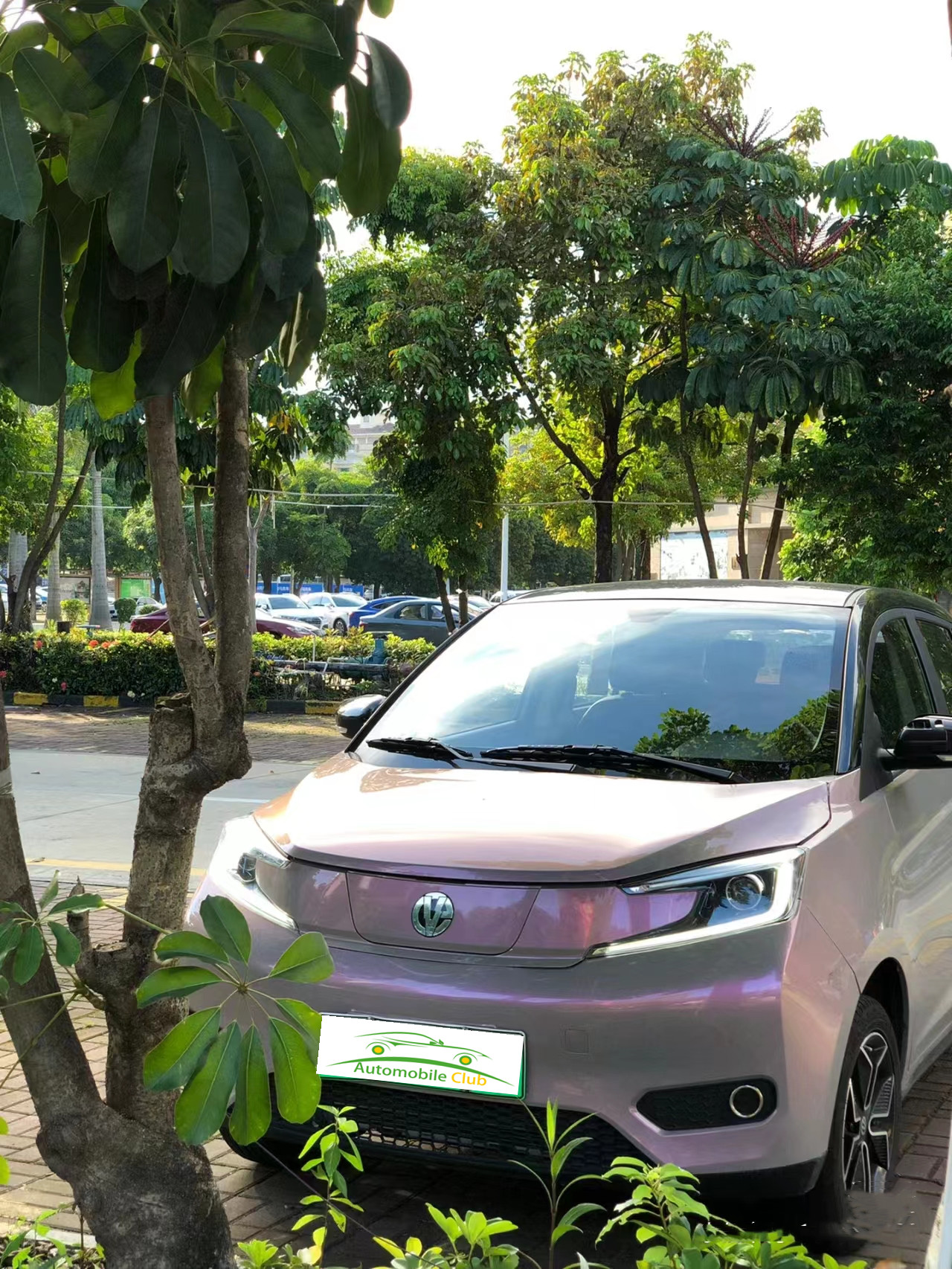 2023 Model Pure Electric Car YOUNG 302km Range 0.5h Fast Charge 4 Seats Full Load Weight 1080KG Maximum Power 35 100km/h