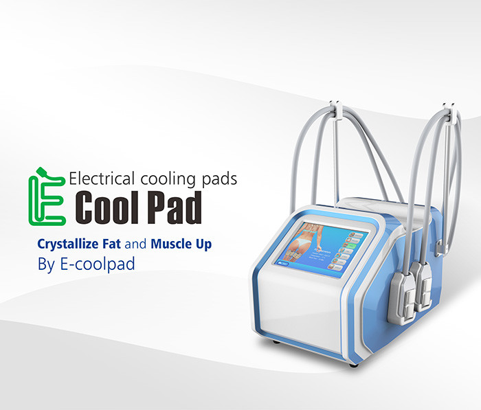 Cryolipolysis Body Slimming Device With 4 PCS Pad Handles No Bruising