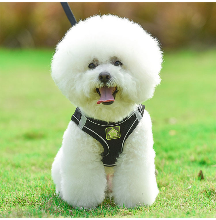 Amazon Top Seller 2021 Adjustable Padded Custom LOGO Pet Cat Dog Harness Collar Leash Reflective Dog Vest Leash