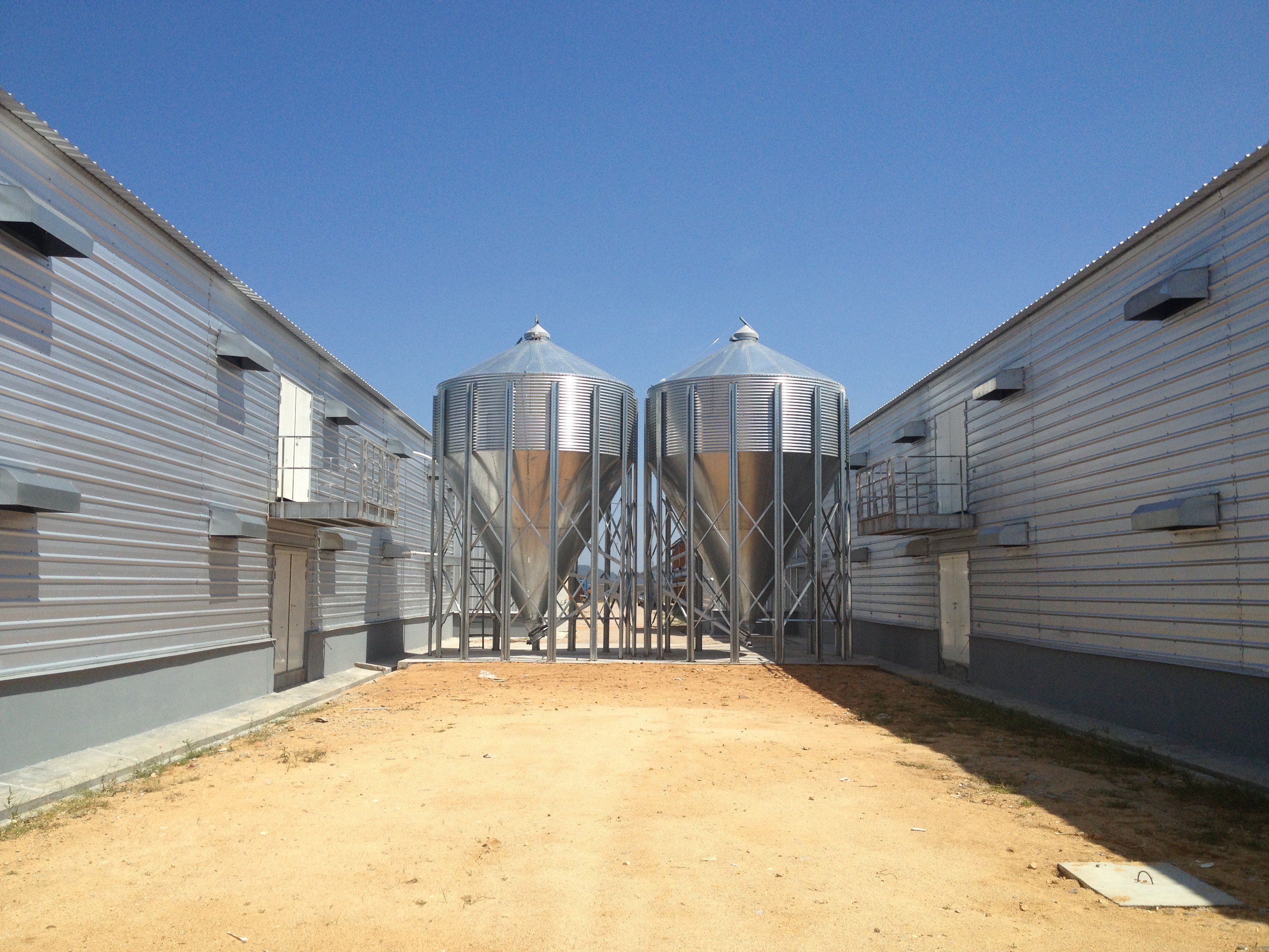 Galvanized Steel Frame Chicken House Bolts Connection Steel Structure Poultry Sheds