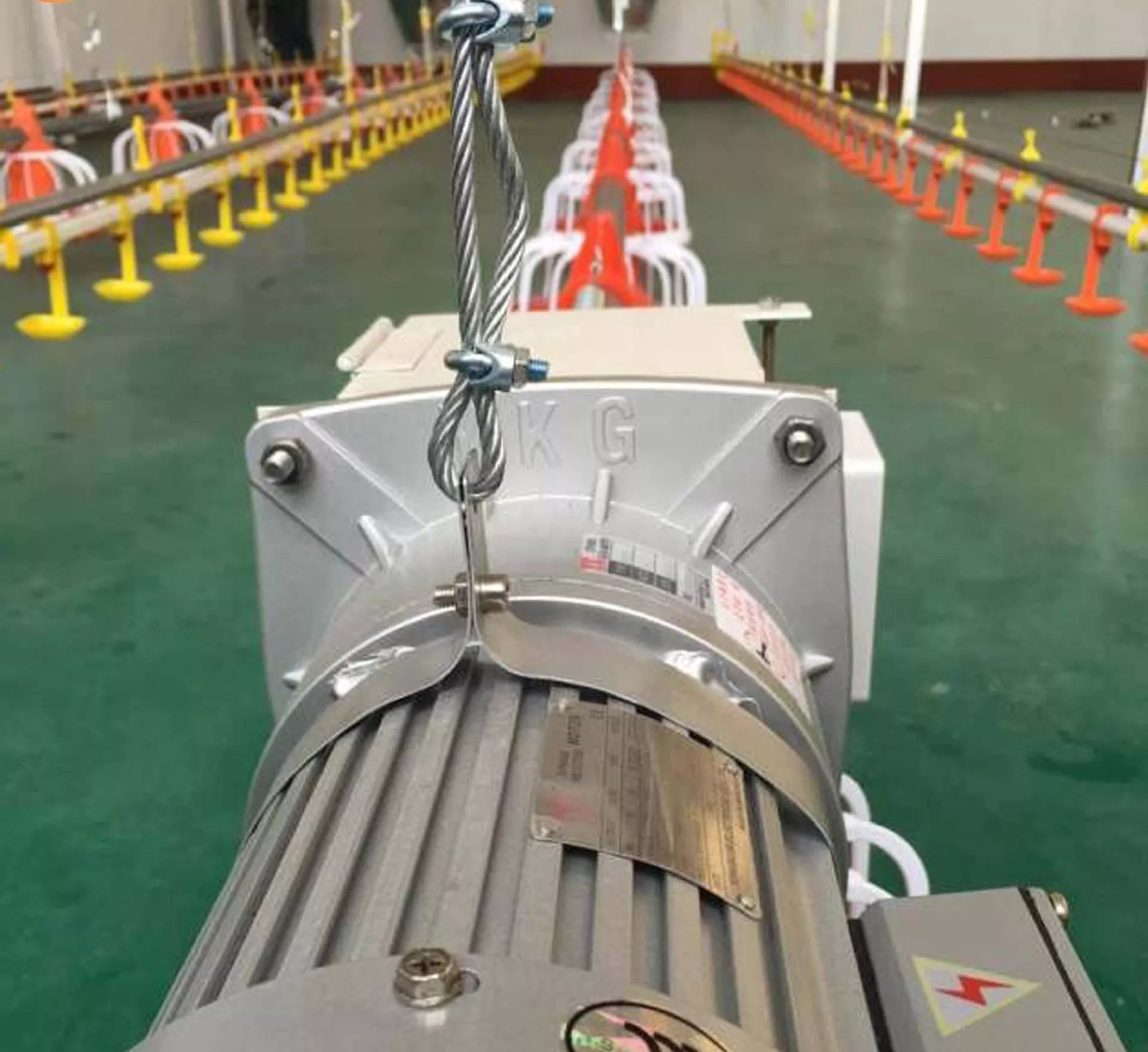 Agricultural Products Automatic Chicken Feeder Agricultural Greenhouses Animals Feeder
