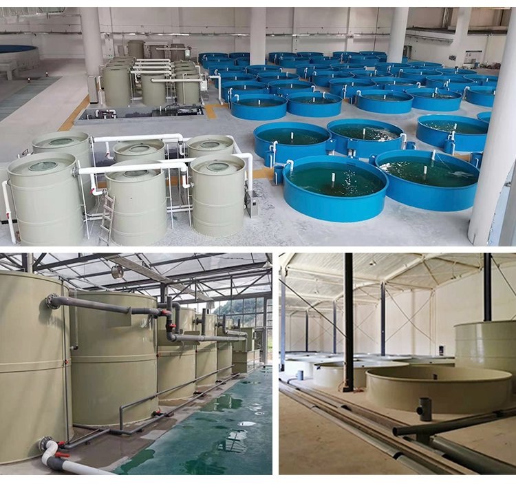 Revolutionary Indoor Aquaculture System with Water Filtration and 1000L/Hour Capacity