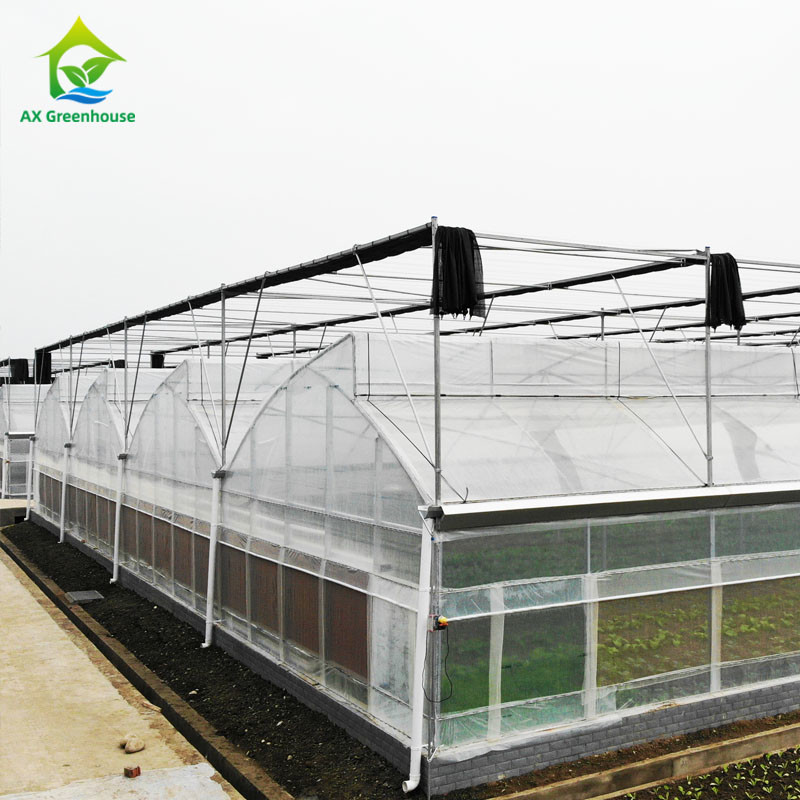 Metal Frame Durable Multi Span Plastic Film Greenhouse For Agriculture Farming