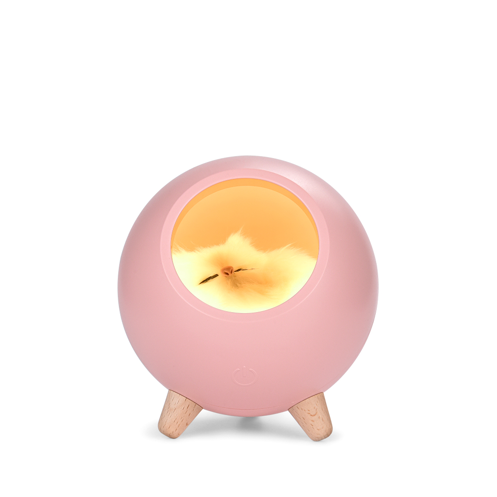 Atmosphere Touch Induction Dimming Children Table Lamp USB Charging Cartoon LED Battery Lighting and Circuitry Design Room EMC