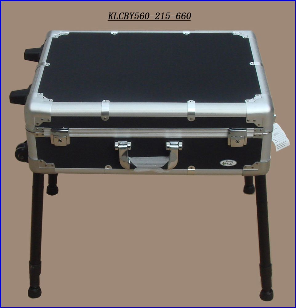 Portable Vanity/dressing Desk Case with Lighted Mirror KLCBY560-215-660