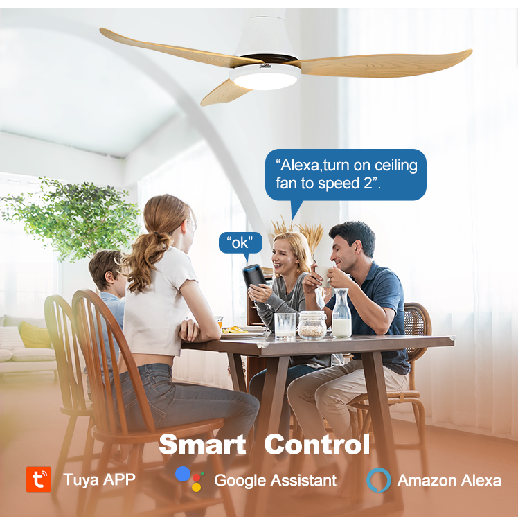 Fancy Design LED Ceiling Fan with Remote SAA Certified and Color Temperature 3000K