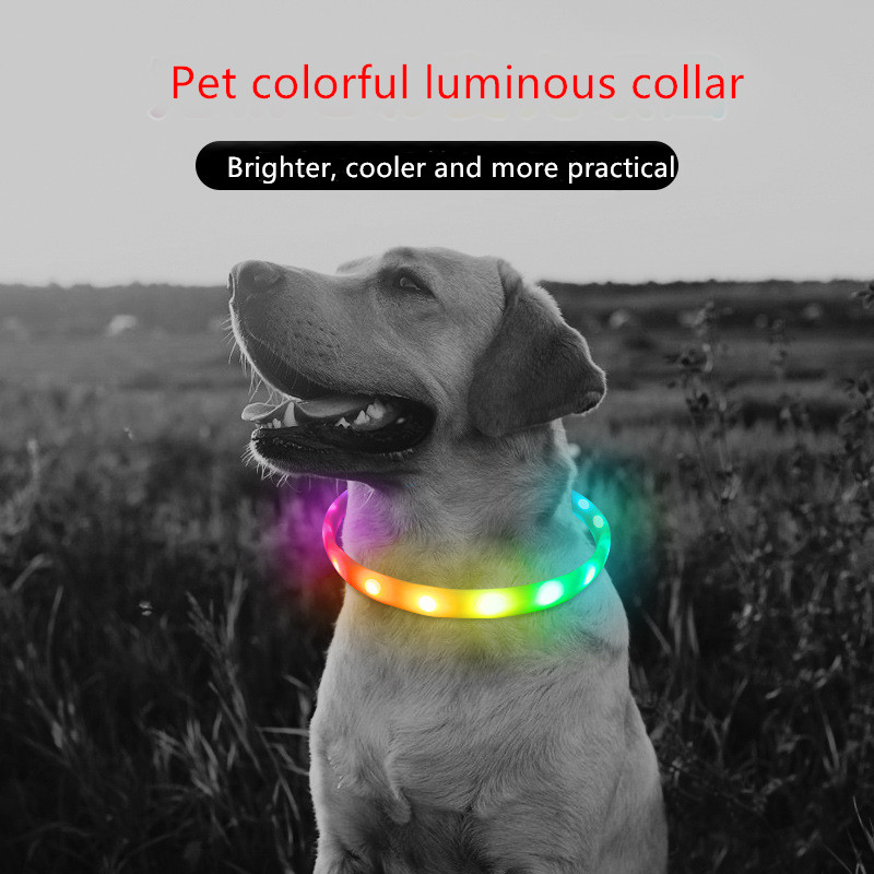 Pet Products ABS Led Dog Collar Rechargeable 40X2cm