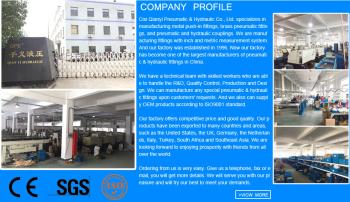 Cixi Qianyi Pneumatic & Hydraulic Co.,Ltd.