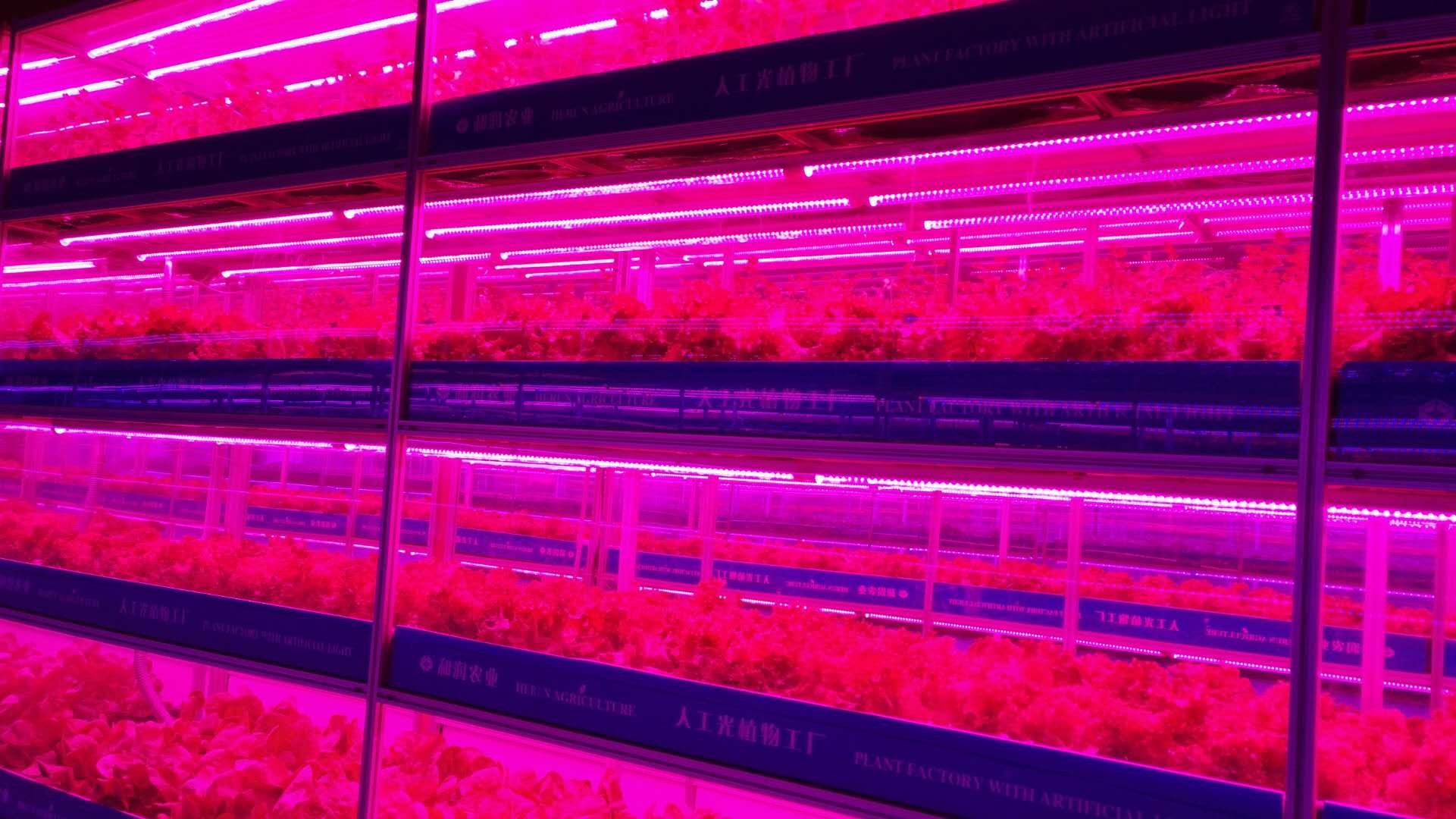 Vertical Farming Plant NFT Hydroponic Smart Garden White 110V/220VAC