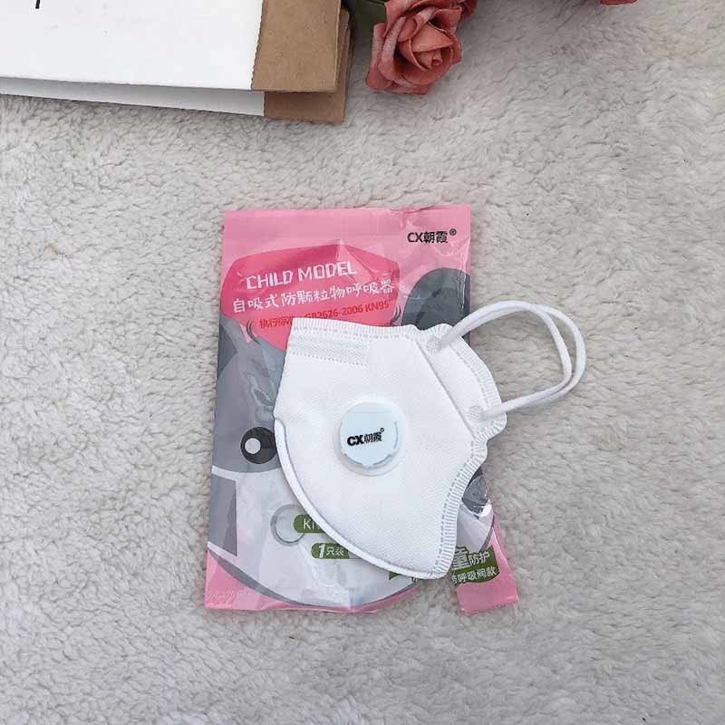 Surgeon Face Mask FFP2 N95 Anti Virus Disposable Dust Mask Foldable Design