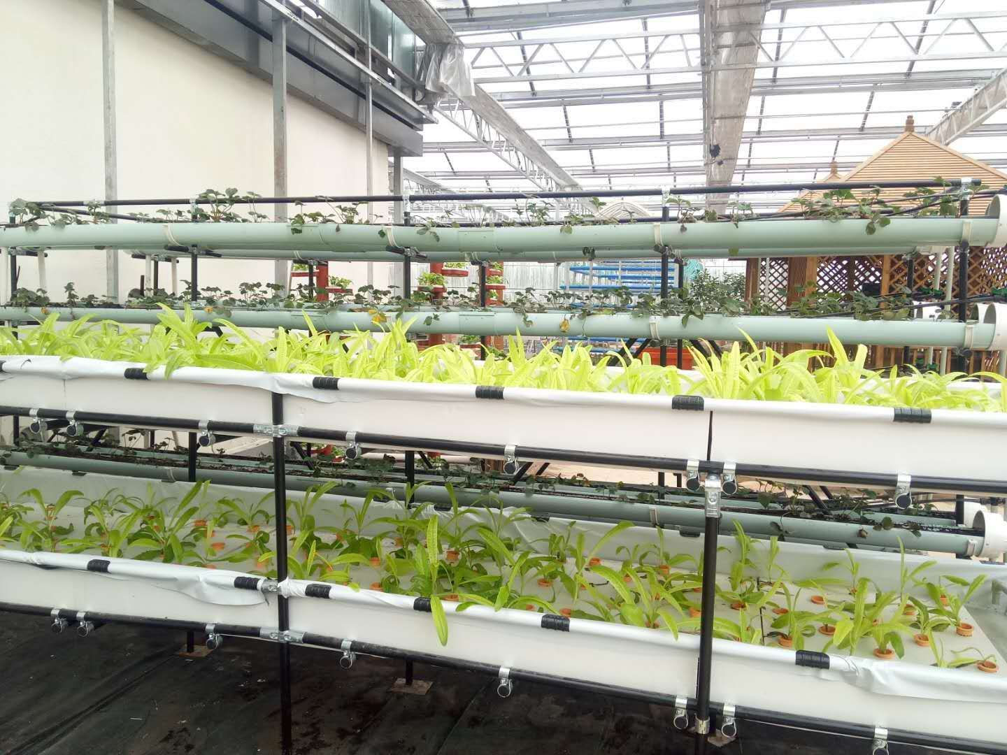 The Best Garden Vertical Hydroponics System NFT for Vegetable & Flower Growing