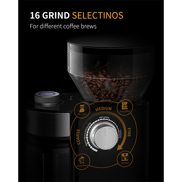 Removable Adjustable Burr Coffee Grinder EU Plug Small 16 2 To 12 Cups