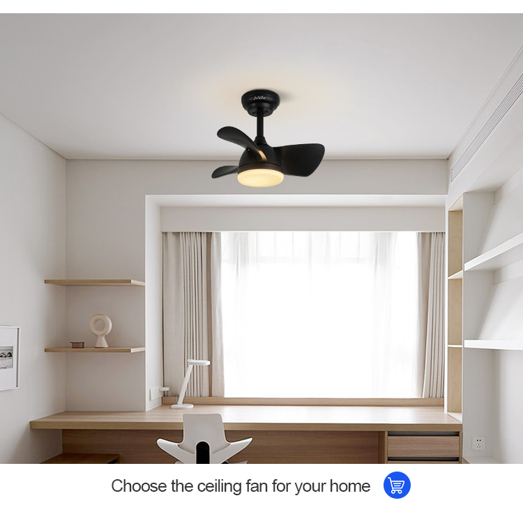 ceiling fan