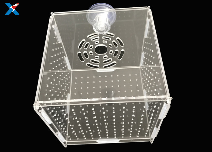 Aquarium Acrylic Modern Furniture / Clear Acrylic Isolation Box For Baby Fish