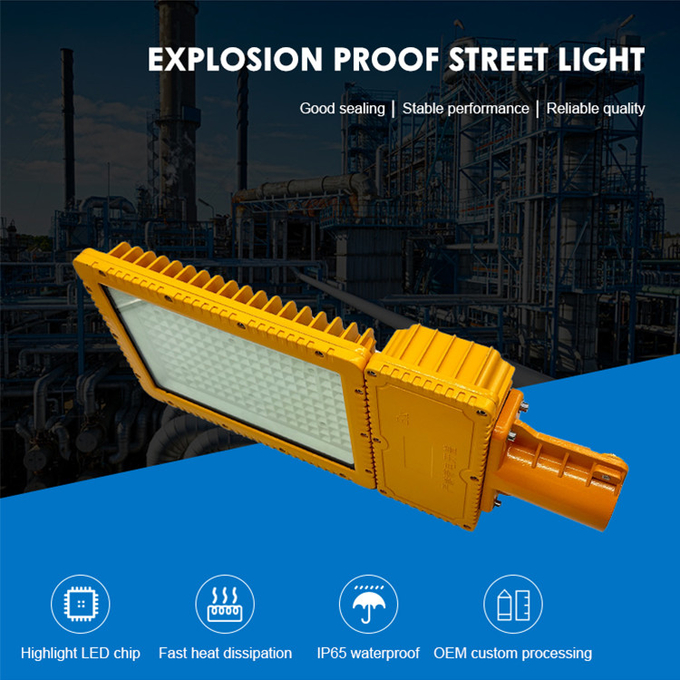 Industrial Explosion Proof Lighting Fixtures Fittings Flameproof 220V 50Hz