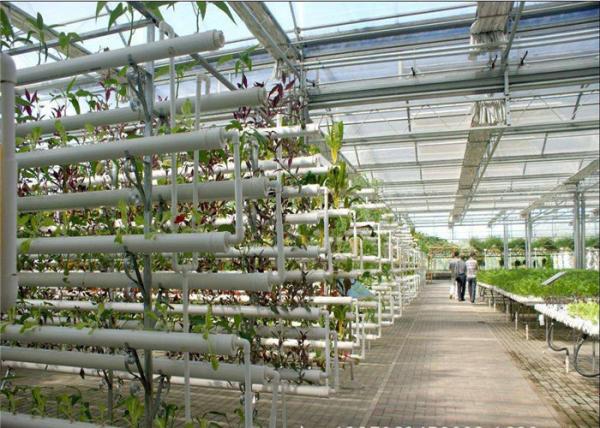 Plastic Film Low Cost Greenhouse , Hydroponic Plastic Greenhouse Accessible To