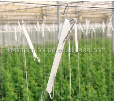 Large Height 3-10m Polytunnel Greenhouse The Ideal Growing Environment for Your Crops