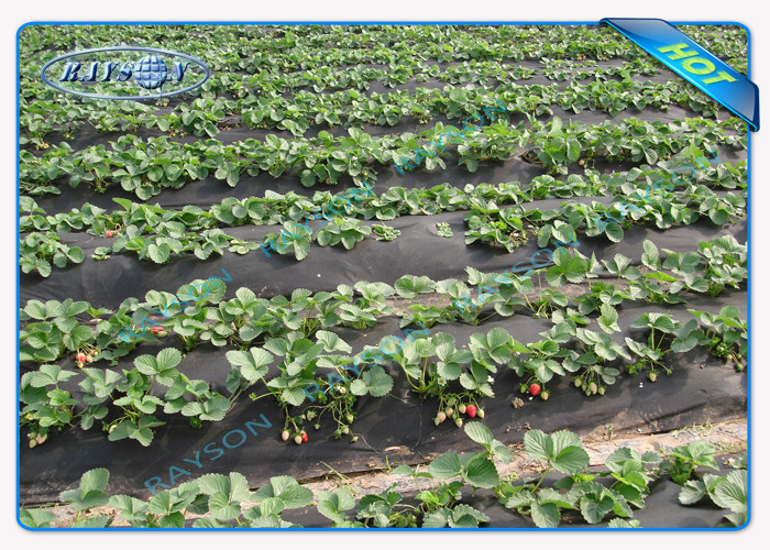 100% PPSB Non Woven Garden Weed Control Fabric Black / White Agriculture Non Woven Cover