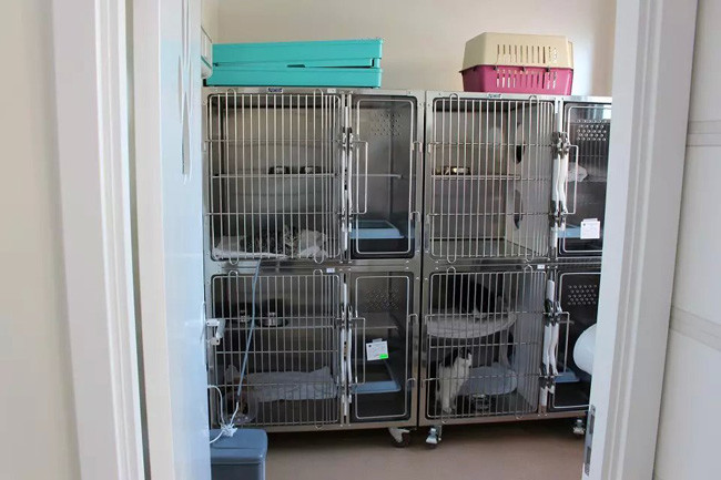 Different Sizes Medical Veterinary Equipment Stainless Steel Cat Cages For Shelters