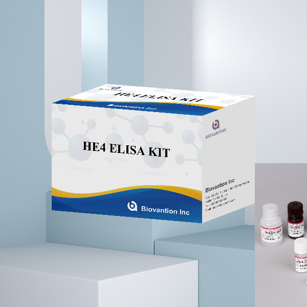 Enzyme-Linked Kit Immunoassay HE4 Human Epididymis Protein 4 ELISA