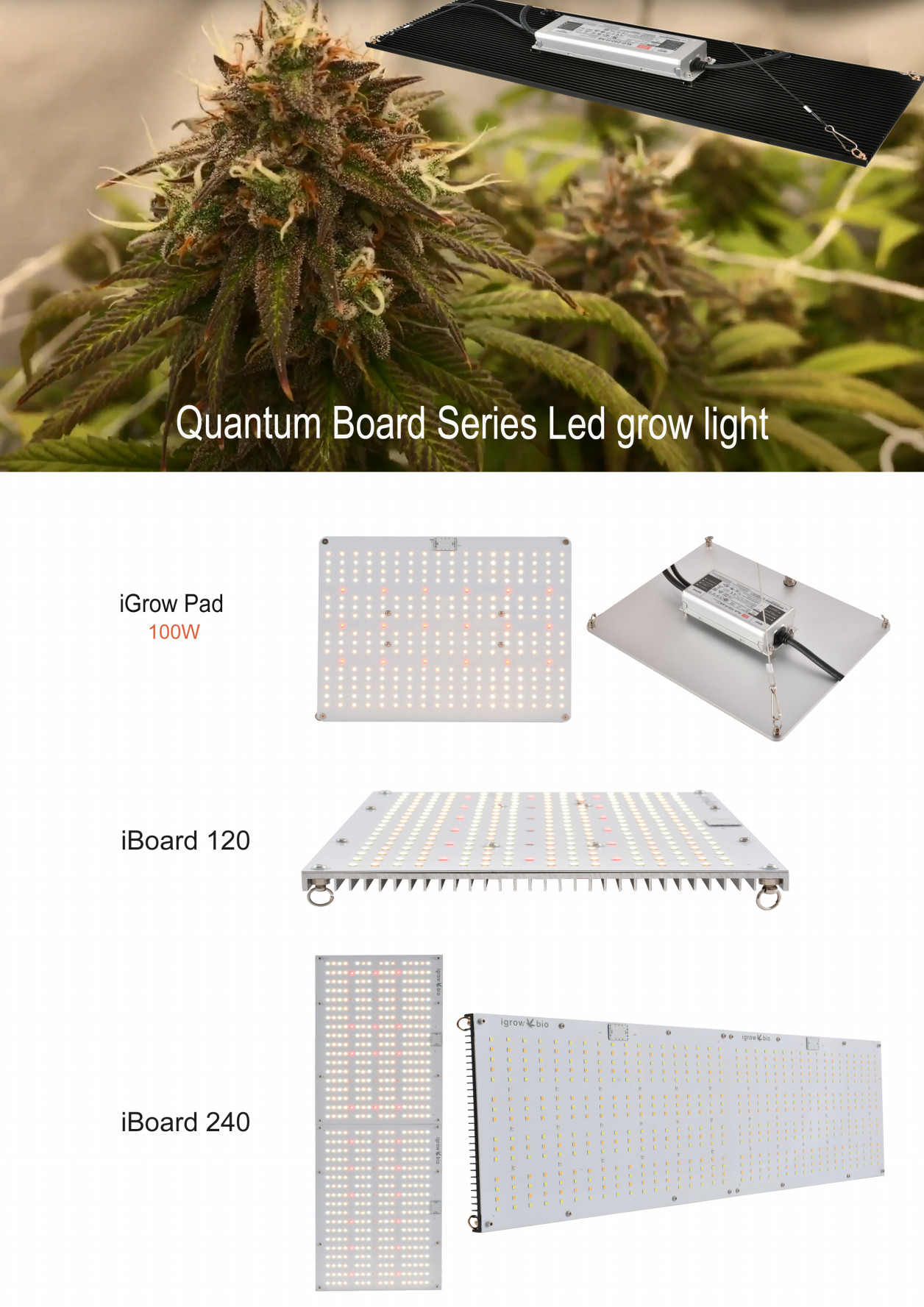 240W Full Spectrum LED Grow Lights