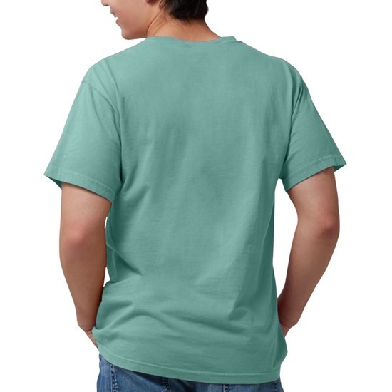 Custom T shirt for paramotor school paragliding school paramotor lesson fly team cheap price fast delivery
