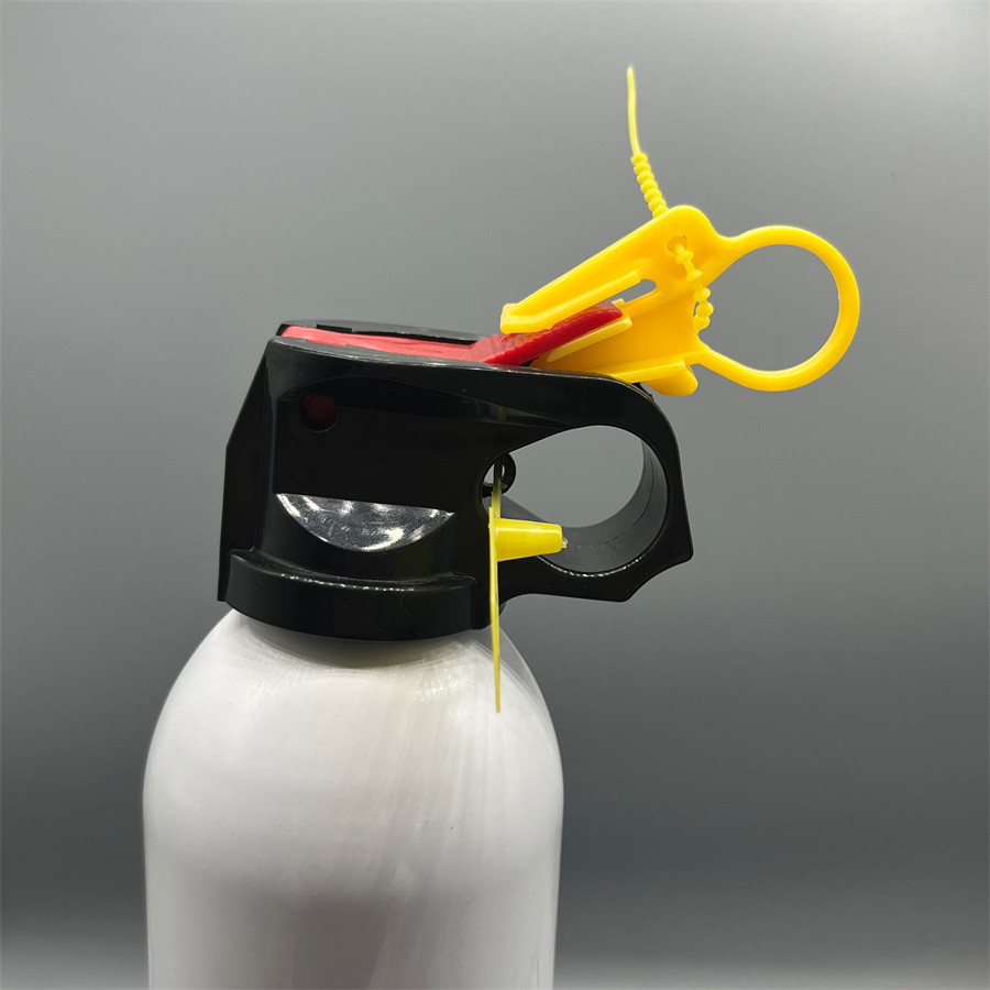 Stainless Steel Fire Extinguisher Valve for Commercial Buildings with Easy Installation