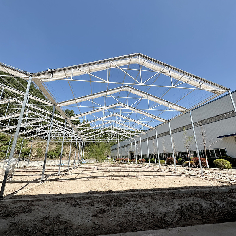 Hot Galvanized Steel Structure Tomato Plastic Film Retractable Roof Agricultural Poly Tunnel Greenhouse