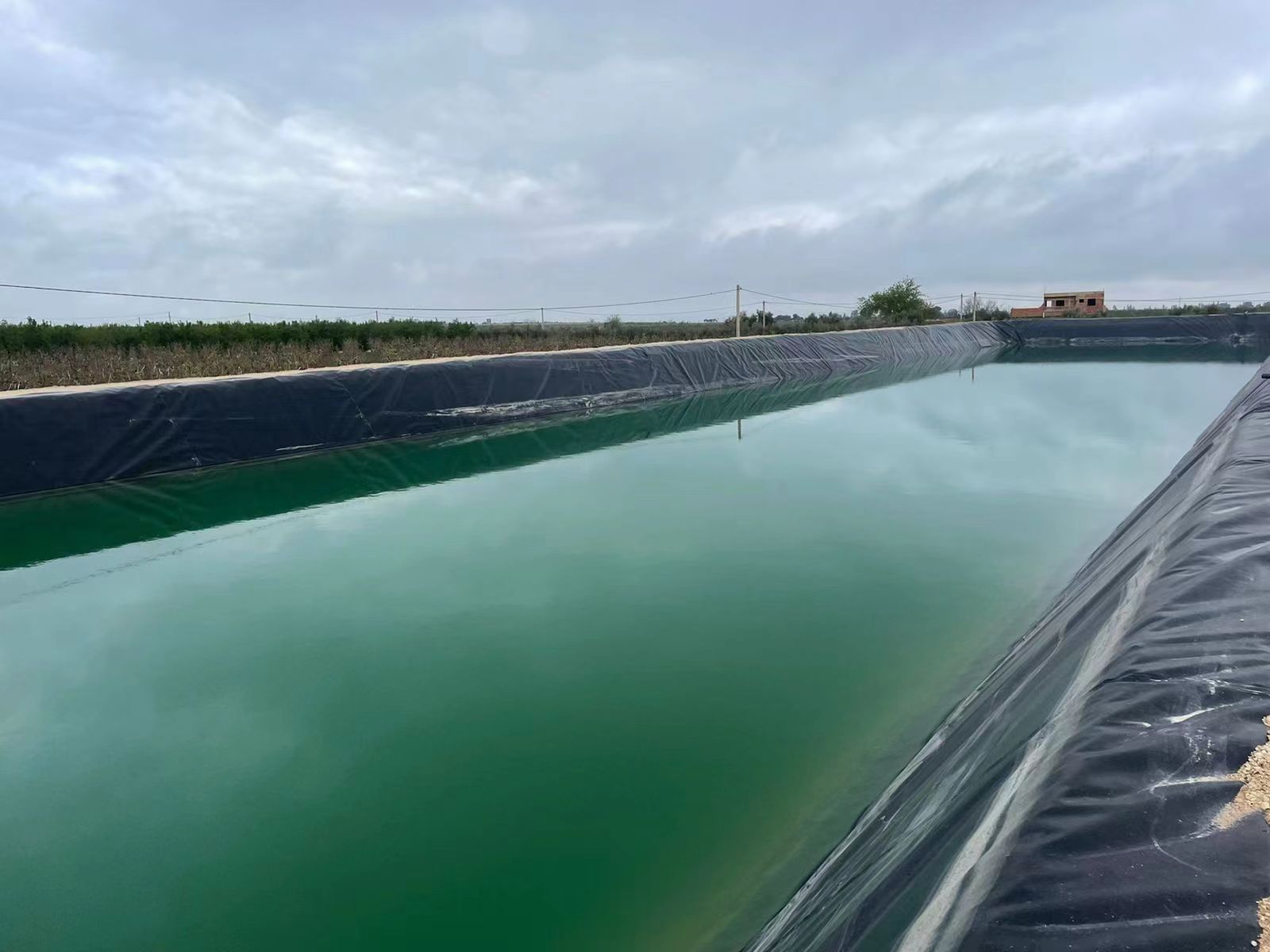 Smooth Pond Liner HDPE Geomembrane 1mm for Fish Farming in Environmental Applications