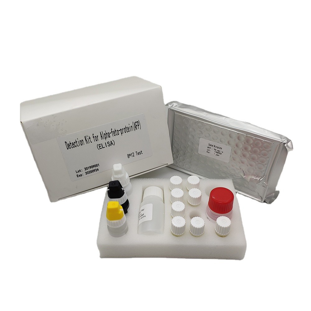 96 Hbsag Diagnostic Human Elisa Kit High Accurate