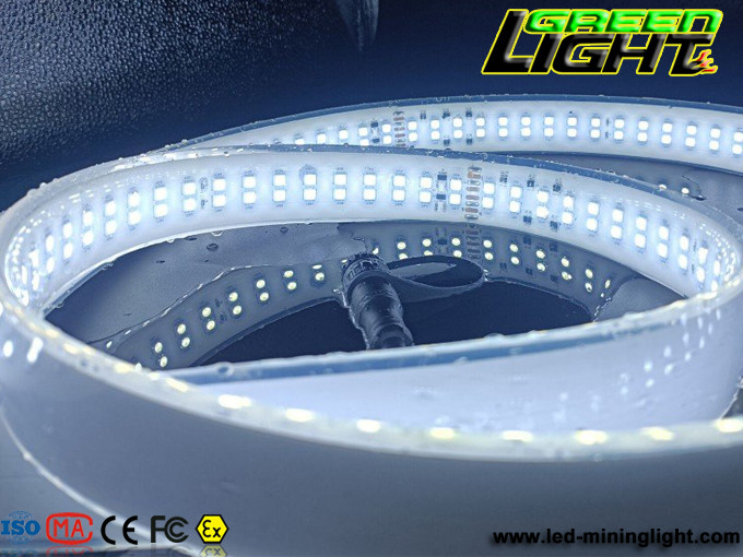 220VAC 2362lum Double Row Led Strip SMD5050 33W/M Flexible