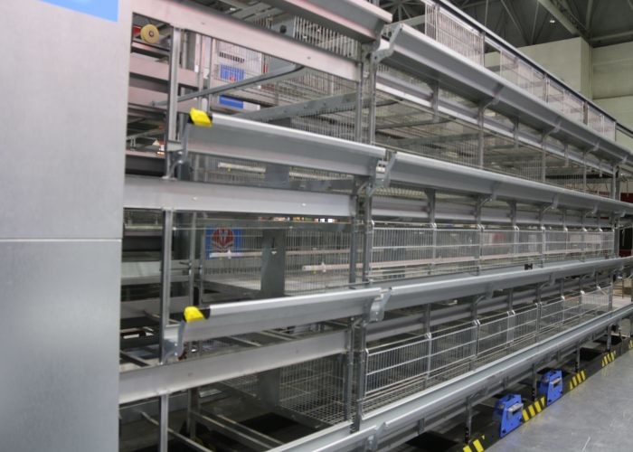 Manure Removal Poultry Breeding Equipment Daily Management Easily