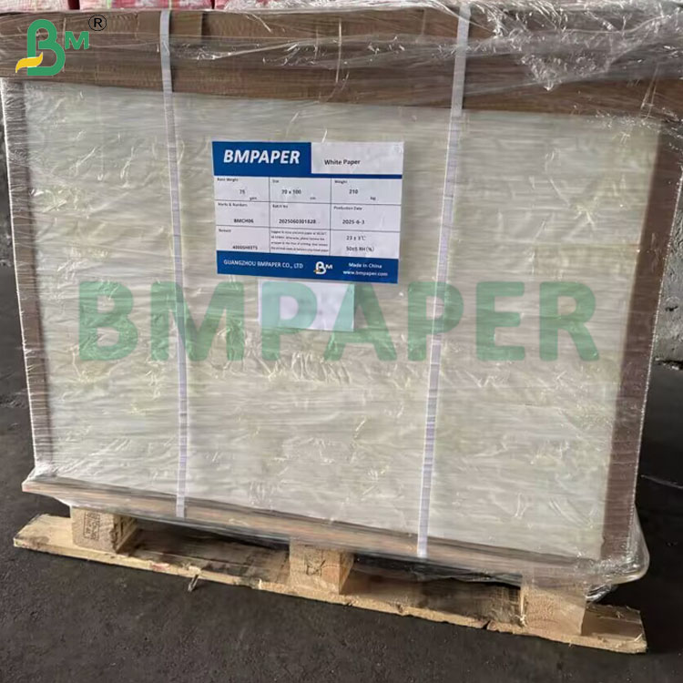 1073B Medical Grade Heat-Sealable Fabric Paper Raw Materials