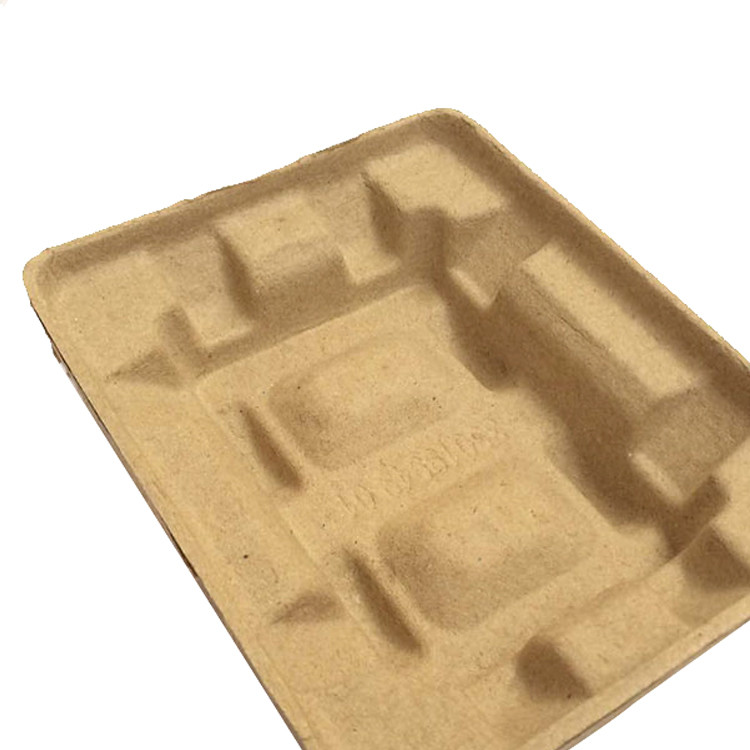 Recyclable Moulded Pulp Tray Biodegradable Thermoformed Paper Trays