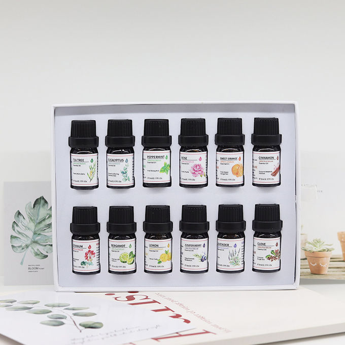 100% Pure Organic Geranium Essential Oil , Aromatherapy Oil Set 10ml 0