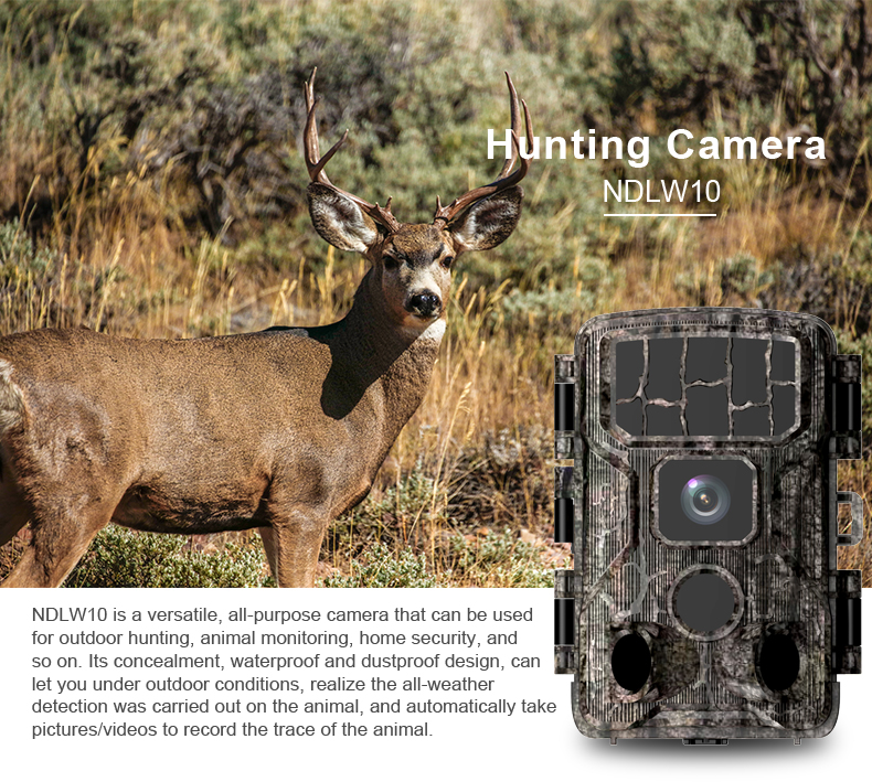 night vision hunting camera