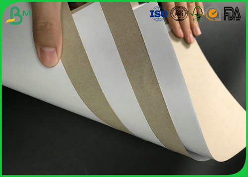 duplex paper
