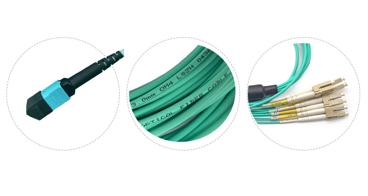 Harness Breakout Fan Out MPO MTP Cable OM1 OM2 OM3 OM4 Fiber mode