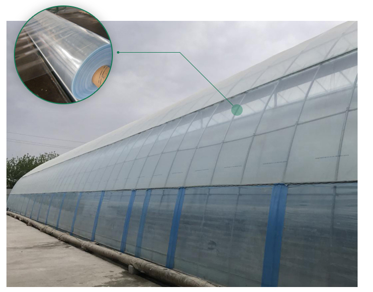 Automatical Controlling System Galvanized Steel Frame Film Greenhouse for Agriculture