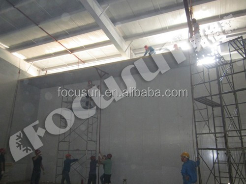 Energy-Saving Cold Rooms for Fruit and Vegetables Convenient Frozen Food Storage