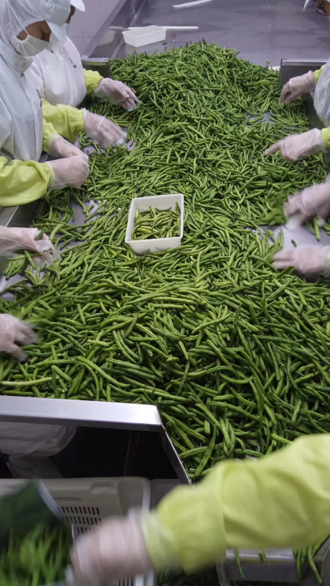 Professional Vegetable Chips Making Machine For Frying Bean 75-110℃ Temperature